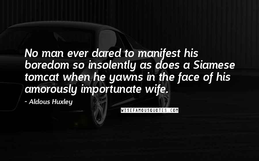 Aldous Huxley Quotes: No man ever dared to manifest his boredom so insolently as does a Siamese tomcat when he yawns in the face of his amorously importunate wife.