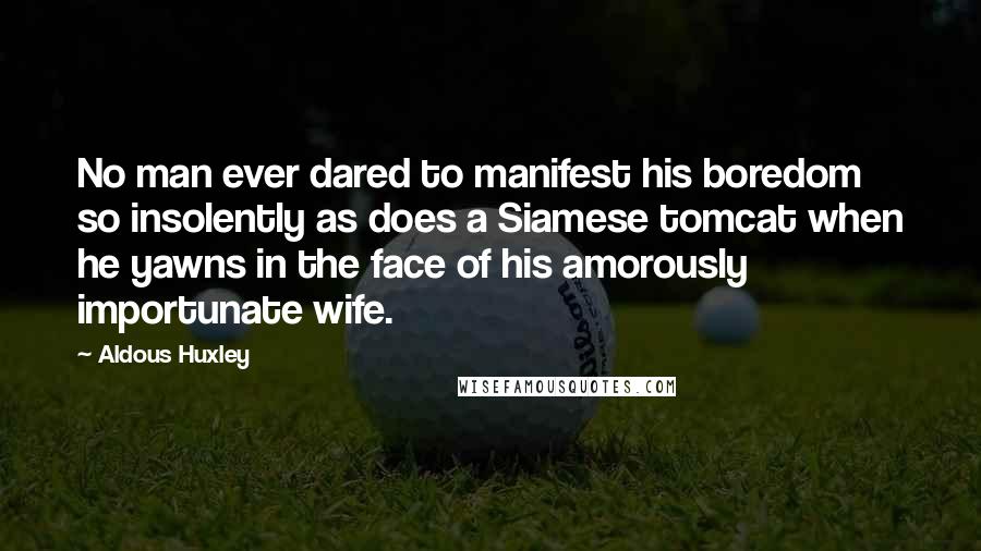 Aldous Huxley Quotes: No man ever dared to manifest his boredom so insolently as does a Siamese tomcat when he yawns in the face of his amorously importunate wife.