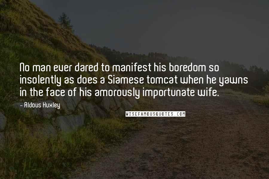 Aldous Huxley Quotes: No man ever dared to manifest his boredom so insolently as does a Siamese tomcat when he yawns in the face of his amorously importunate wife.