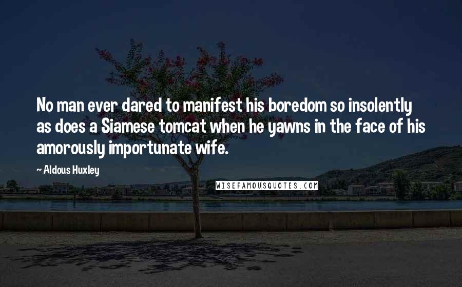 Aldous Huxley Quotes: No man ever dared to manifest his boredom so insolently as does a Siamese tomcat when he yawns in the face of his amorously importunate wife.