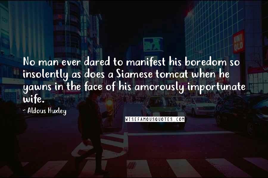 Aldous Huxley Quotes: No man ever dared to manifest his boredom so insolently as does a Siamese tomcat when he yawns in the face of his amorously importunate wife.