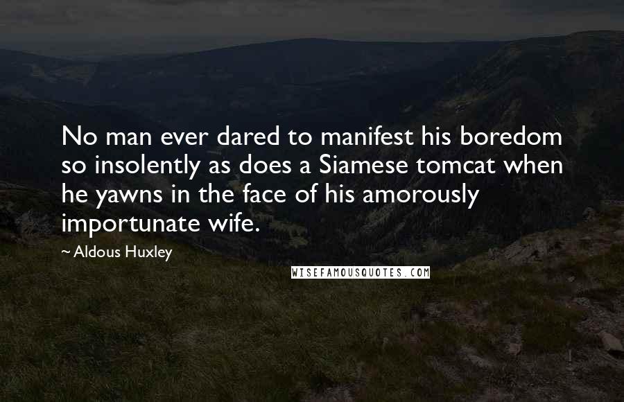 Aldous Huxley Quotes: No man ever dared to manifest his boredom so insolently as does a Siamese tomcat when he yawns in the face of his amorously importunate wife.