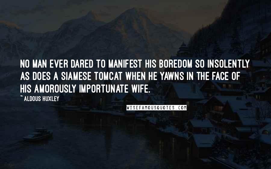Aldous Huxley Quotes: No man ever dared to manifest his boredom so insolently as does a Siamese tomcat when he yawns in the face of his amorously importunate wife.