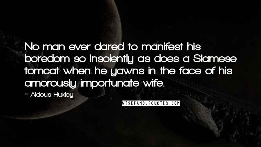 Aldous Huxley Quotes: No man ever dared to manifest his boredom so insolently as does a Siamese tomcat when he yawns in the face of his amorously importunate wife.