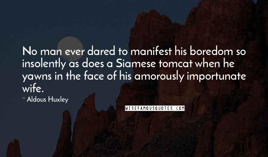 Aldous Huxley Quotes: No man ever dared to manifest his boredom so insolently as does a Siamese tomcat when he yawns in the face of his amorously importunate wife.
