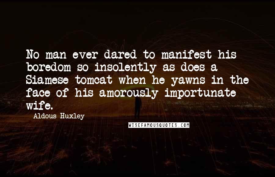 Aldous Huxley Quotes: No man ever dared to manifest his boredom so insolently as does a Siamese tomcat when he yawns in the face of his amorously importunate wife.