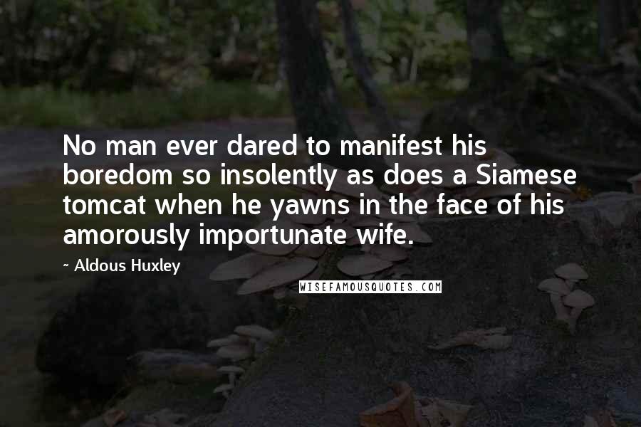 Aldous Huxley Quotes: No man ever dared to manifest his boredom so insolently as does a Siamese tomcat when he yawns in the face of his amorously importunate wife.