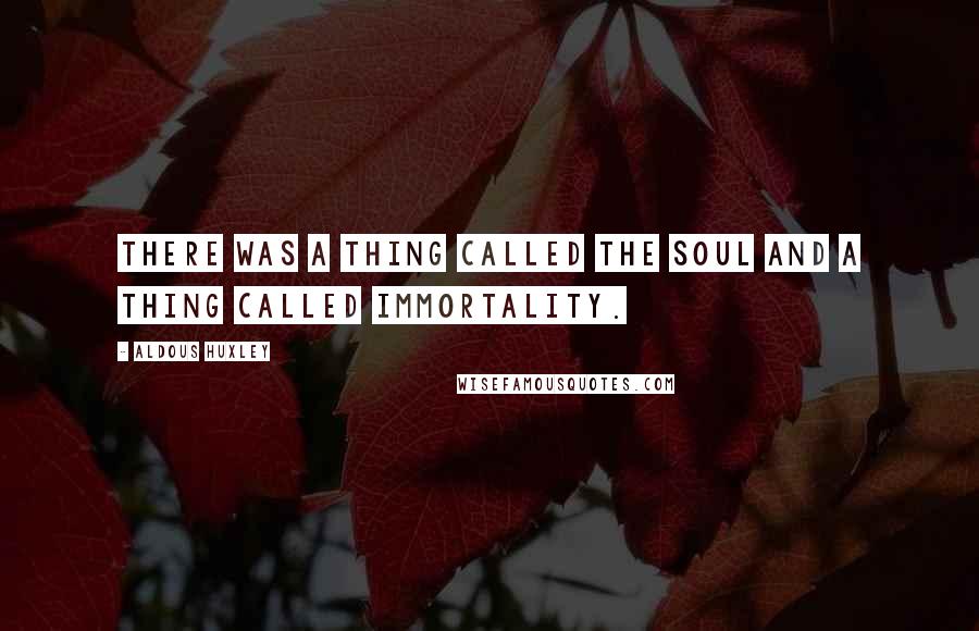 Aldous Huxley Quotes: There was a thing called the soul and a thing called immortality.