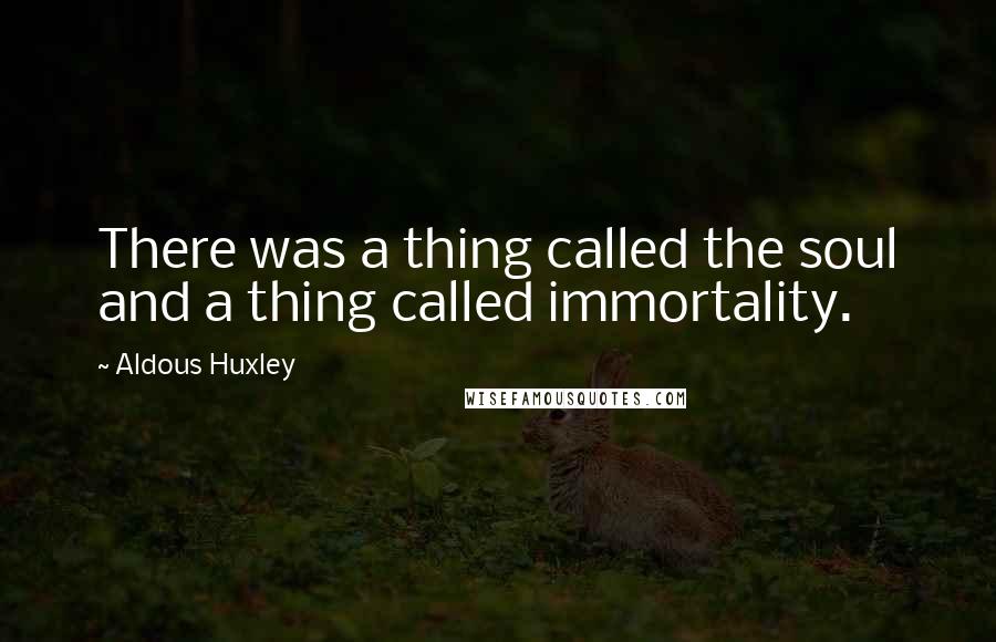 Aldous Huxley Quotes: There was a thing called the soul and a thing called immortality.
