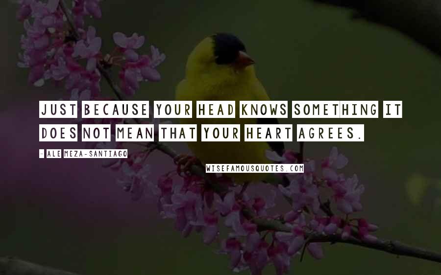 Ale Meza-Santiago Quotes: Just because your head knows something it does not mean that your heart agrees.
