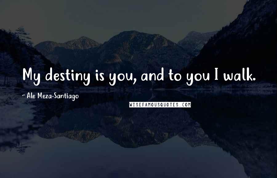 Ale Meza-Santiago Quotes: My destiny is you, and to you I walk.