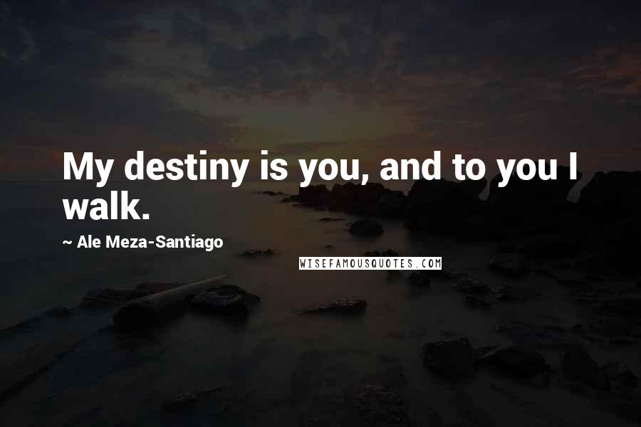 Ale Meza-Santiago Quotes: My destiny is you, and to you I walk.