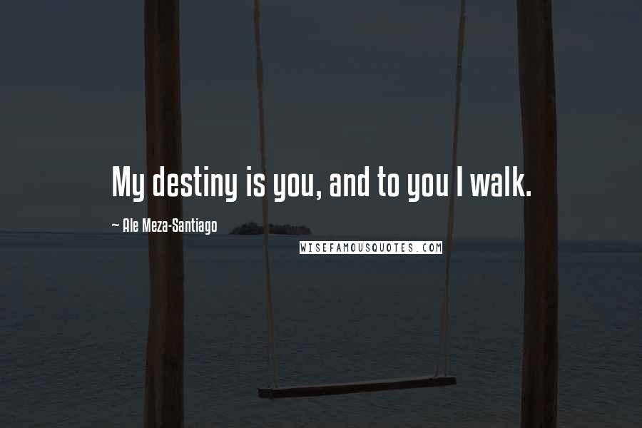 Ale Meza-Santiago Quotes: My destiny is you, and to you I walk.