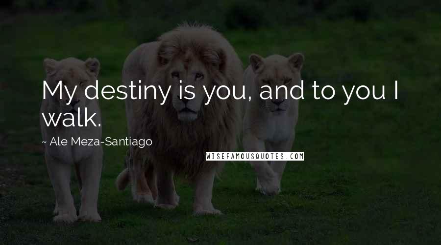 Ale Meza-Santiago Quotes: My destiny is you, and to you I walk.