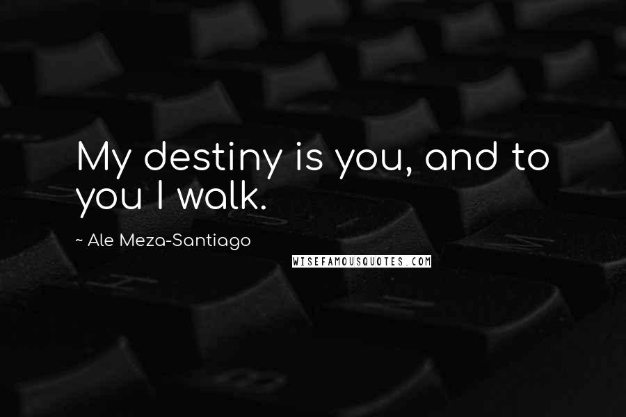 Ale Meza-Santiago Quotes: My destiny is you, and to you I walk.