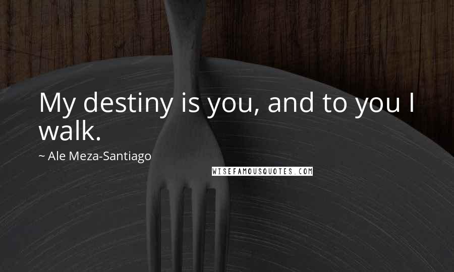 Ale Meza-Santiago Quotes: My destiny is you, and to you I walk.