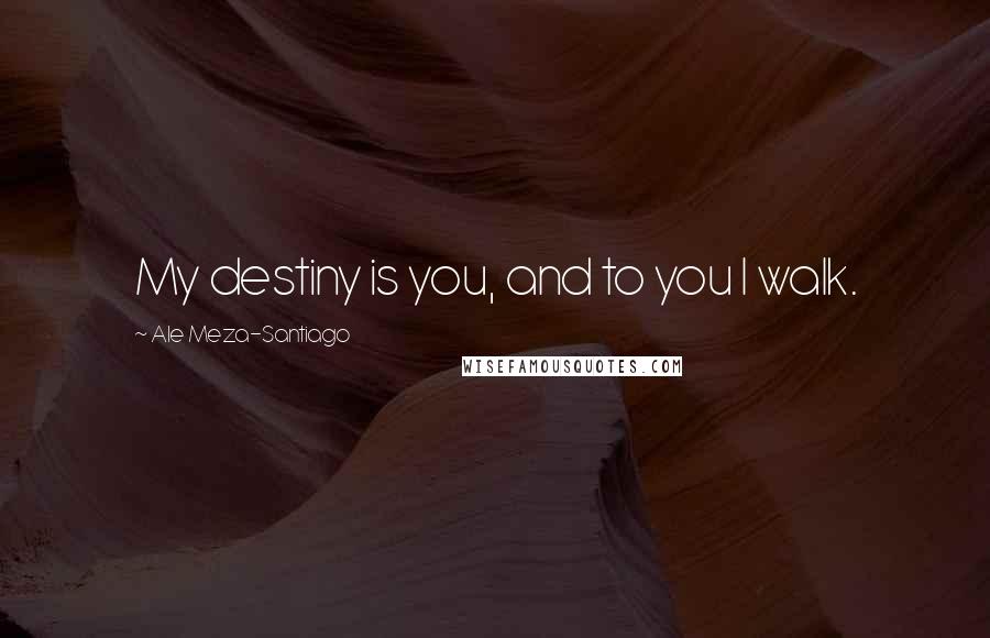 Ale Meza-Santiago Quotes: My destiny is you, and to you I walk.