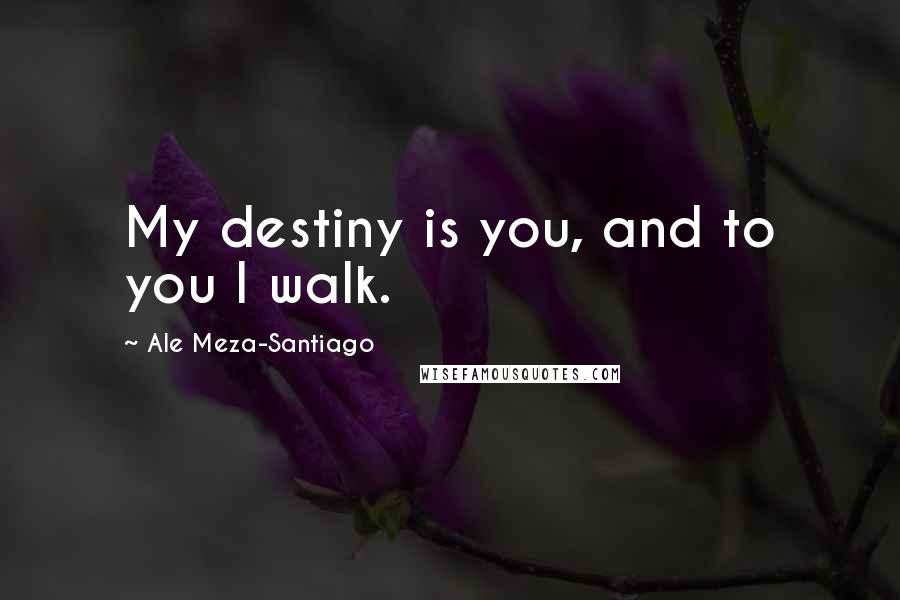 Ale Meza-Santiago Quotes: My destiny is you, and to you I walk.