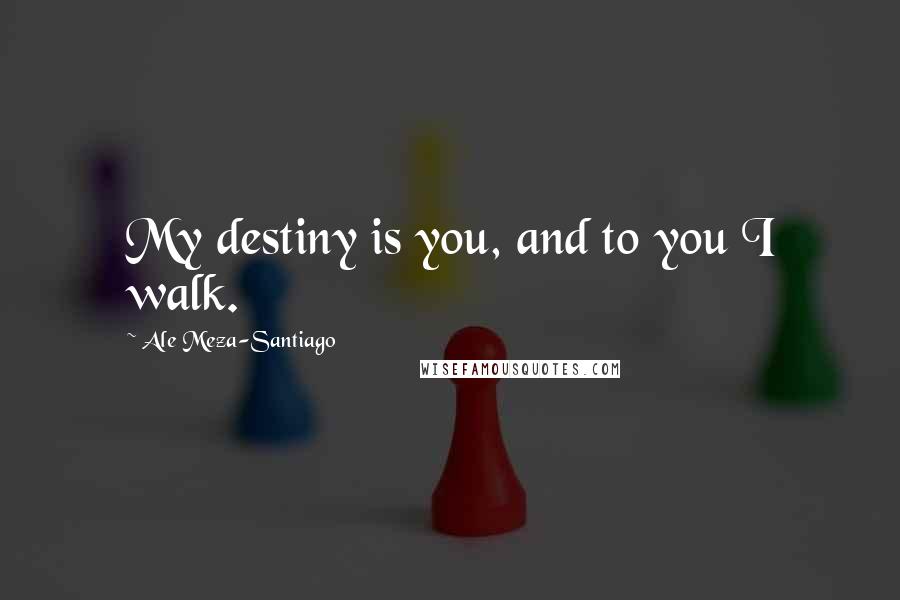 Ale Meza-Santiago Quotes: My destiny is you, and to you I walk.