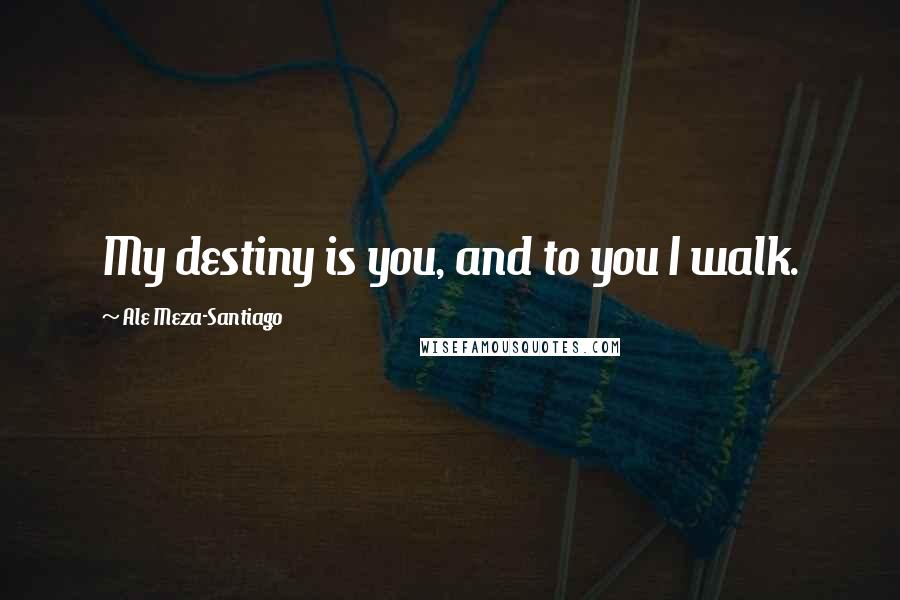 Ale Meza-Santiago Quotes: My destiny is you, and to you I walk.