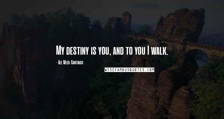 Ale Meza-Santiago Quotes: My destiny is you, and to you I walk.