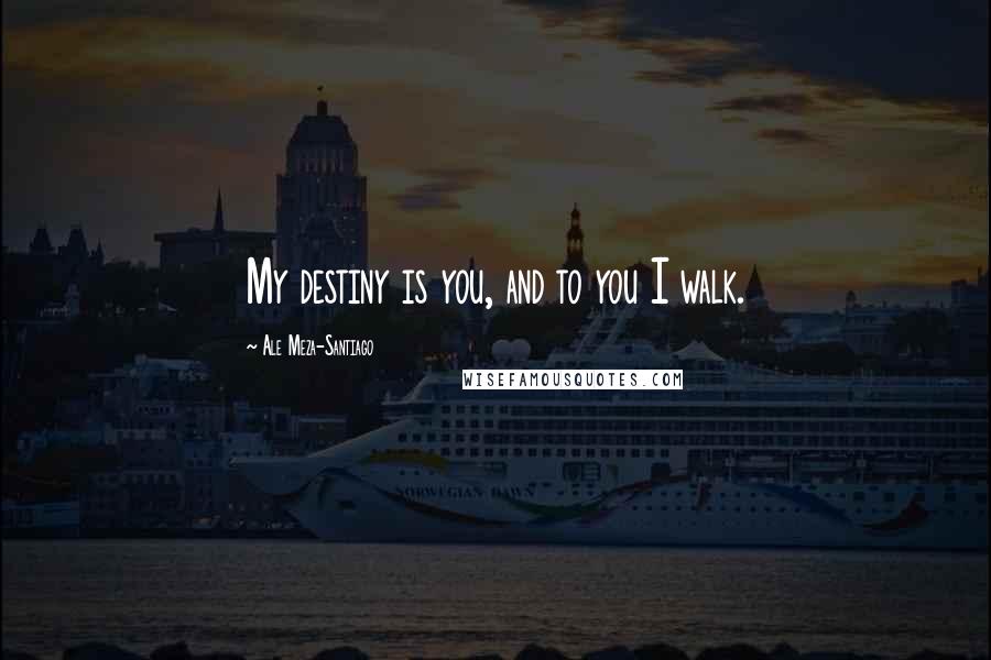 Ale Meza-Santiago Quotes: My destiny is you, and to you I walk.