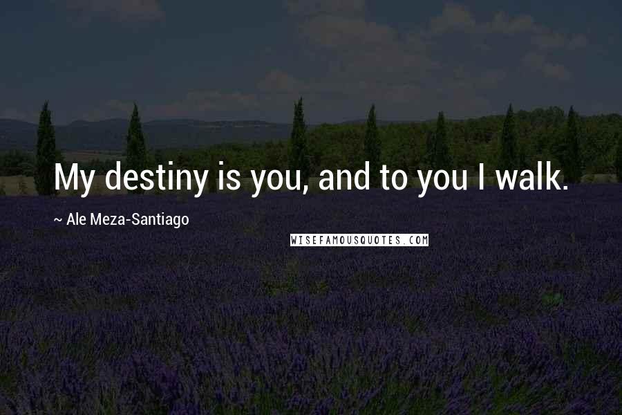 Ale Meza-Santiago Quotes: My destiny is you, and to you I walk.