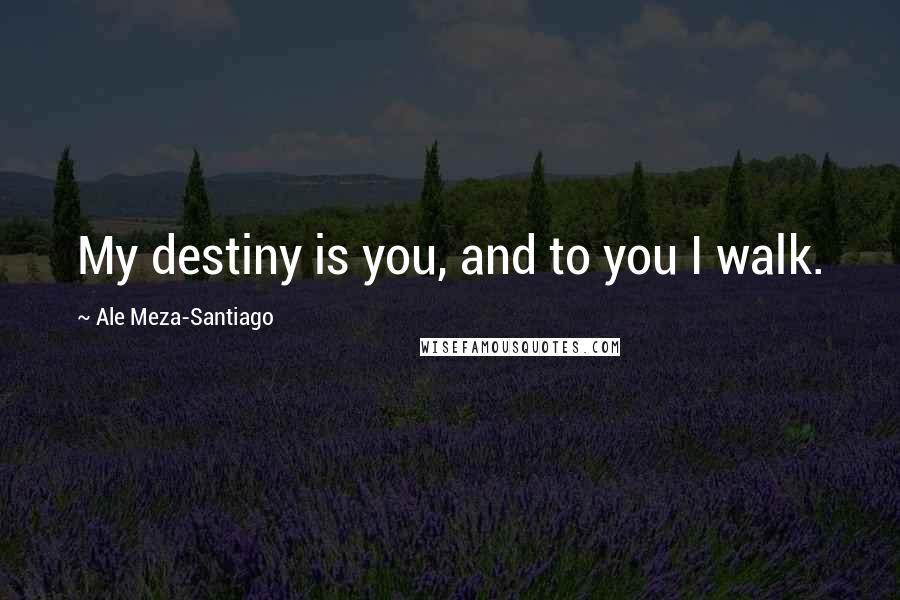 Ale Meza-Santiago Quotes: My destiny is you, and to you I walk.
