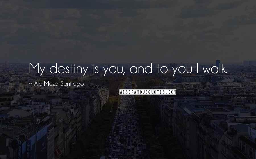 Ale Meza-Santiago Quotes: My destiny is you, and to you I walk.