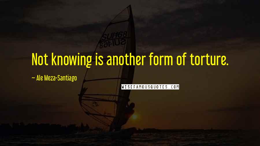 Ale Meza-Santiago Quotes: Not knowing is another form of torture.