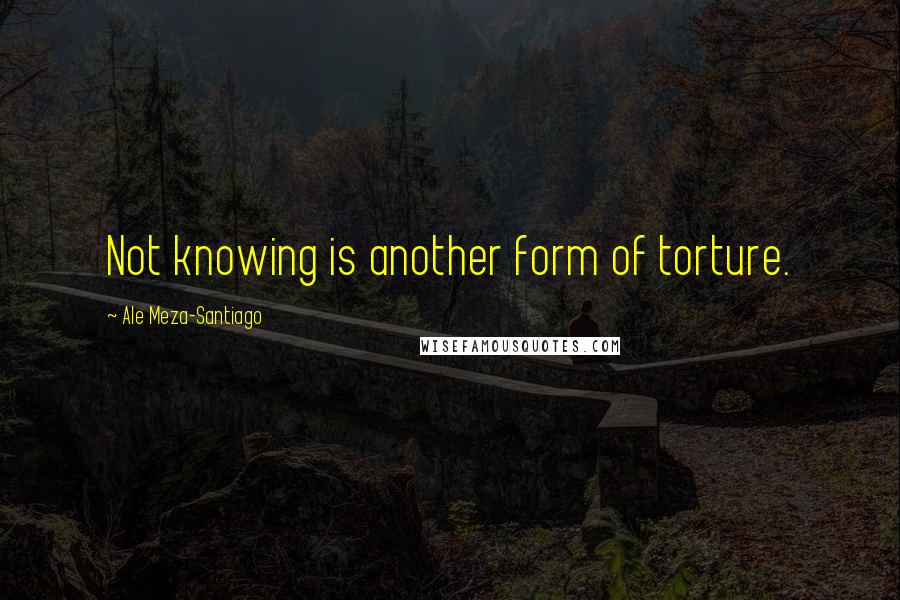 Ale Meza-Santiago Quotes: Not knowing is another form of torture.