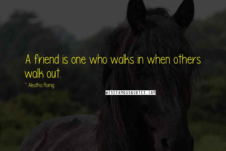 Aleatha Romig Quotes: A friend is one who walks in when others walk out.