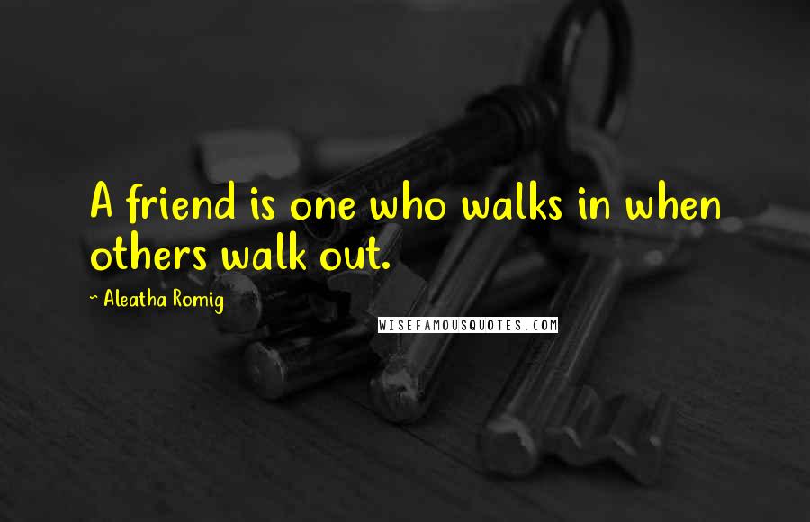 Aleatha Romig Quotes: A friend is one who walks in when others walk out.