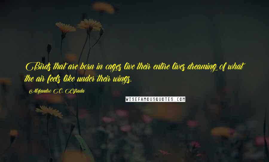 Alejandro C. Estrada Quotes: Birds that are born in cages live their entire lives dreaming of what the air feels like under their wings.