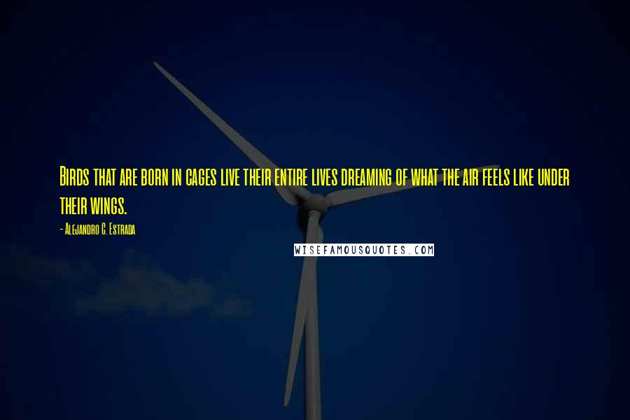 Alejandro C. Estrada Quotes: Birds that are born in cages live their entire lives dreaming of what the air feels like under their wings.