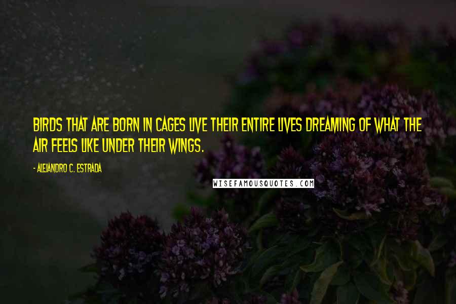 Alejandro C. Estrada Quotes: Birds that are born in cages live their entire lives dreaming of what the air feels like under their wings.