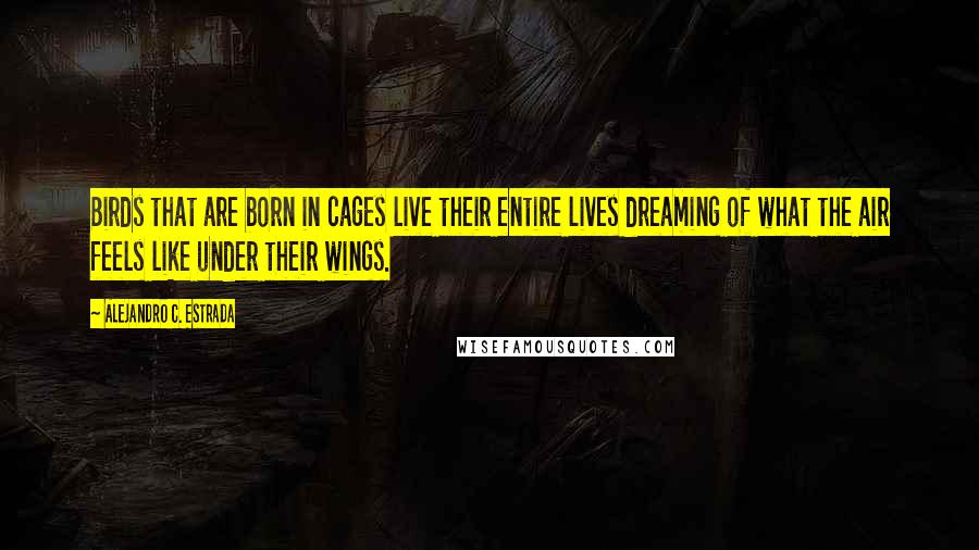 Alejandro C. Estrada Quotes: Birds that are born in cages live their entire lives dreaming of what the air feels like under their wings.