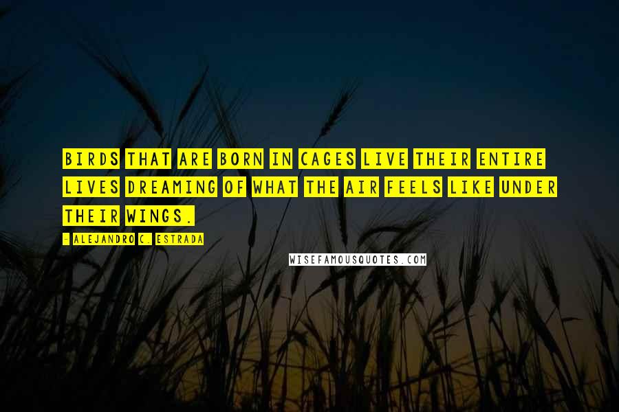 Alejandro C. Estrada Quotes: Birds that are born in cages live their entire lives dreaming of what the air feels like under their wings.
