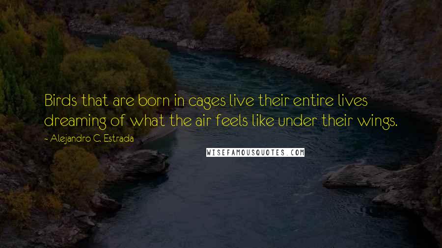 Alejandro C. Estrada Quotes: Birds that are born in cages live their entire lives dreaming of what the air feels like under their wings.