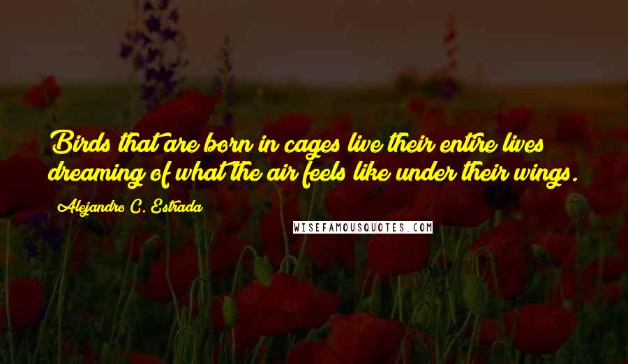 Alejandro C. Estrada Quotes: Birds that are born in cages live their entire lives dreaming of what the air feels like under their wings.