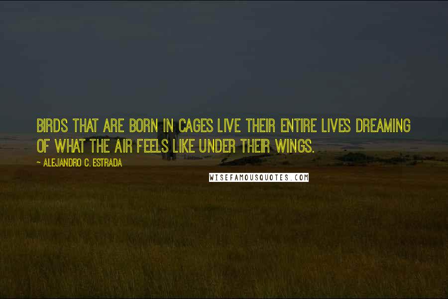Alejandro C. Estrada Quotes: Birds that are born in cages live their entire lives dreaming of what the air feels like under their wings.
