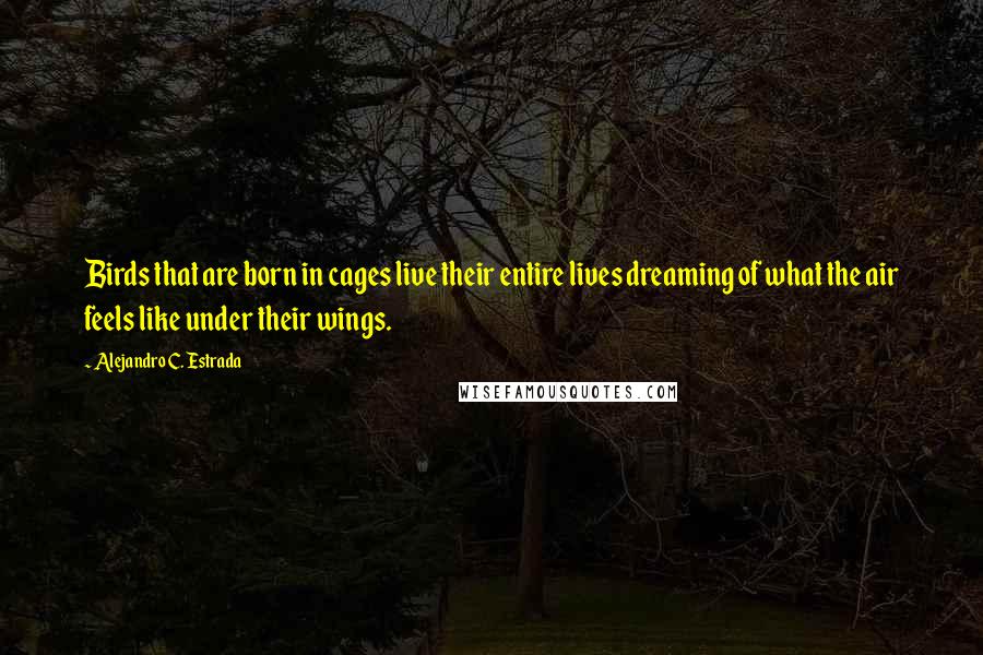 Alejandro C. Estrada Quotes: Birds that are born in cages live their entire lives dreaming of what the air feels like under their wings.