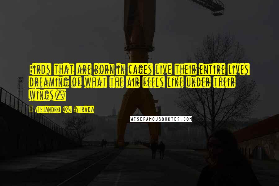 Alejandro C. Estrada Quotes: Birds that are born in cages live their entire lives dreaming of what the air feels like under their wings.