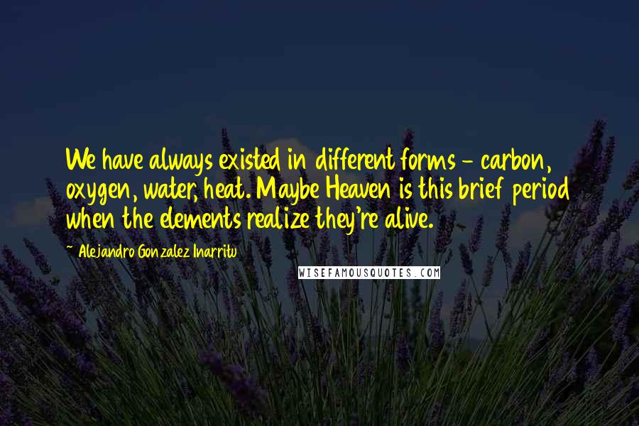 Alejandro Gonzalez Inarritu Quotes: We have always existed in different forms - carbon, oxygen, water, heat. Maybe Heaven is this brief period when the elements realize they're alive.