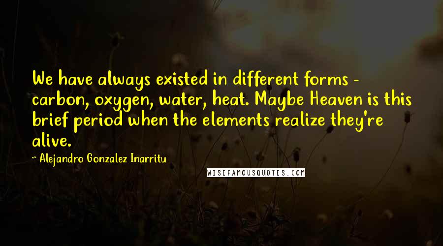 Alejandro Gonzalez Inarritu Quotes: We have always existed in different forms - carbon, oxygen, water, heat. Maybe Heaven is this brief period when the elements realize they're alive.