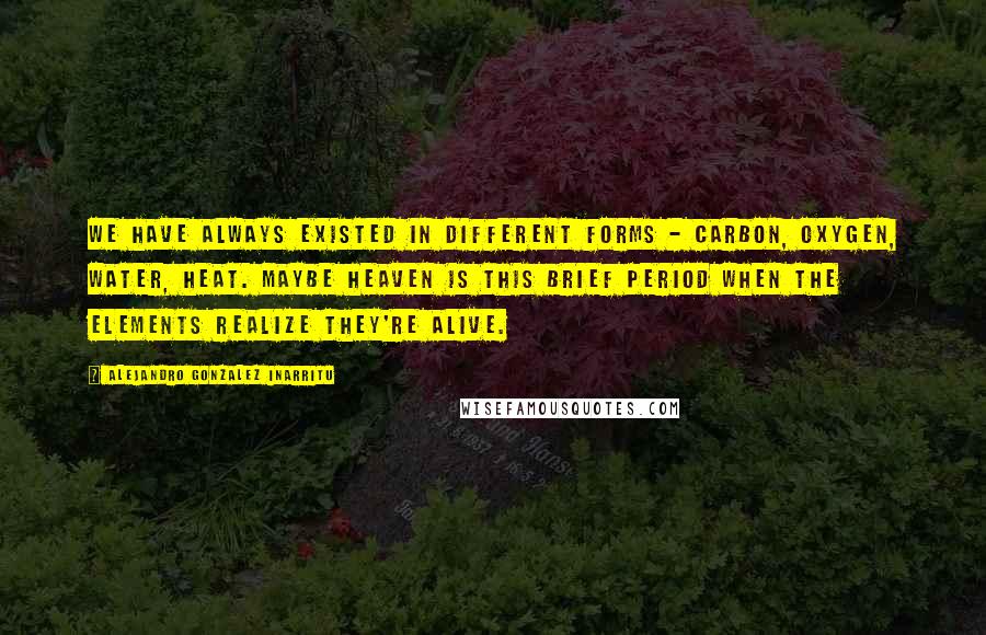 Alejandro Gonzalez Inarritu Quotes: We have always existed in different forms - carbon, oxygen, water, heat. Maybe Heaven is this brief period when the elements realize they're alive.