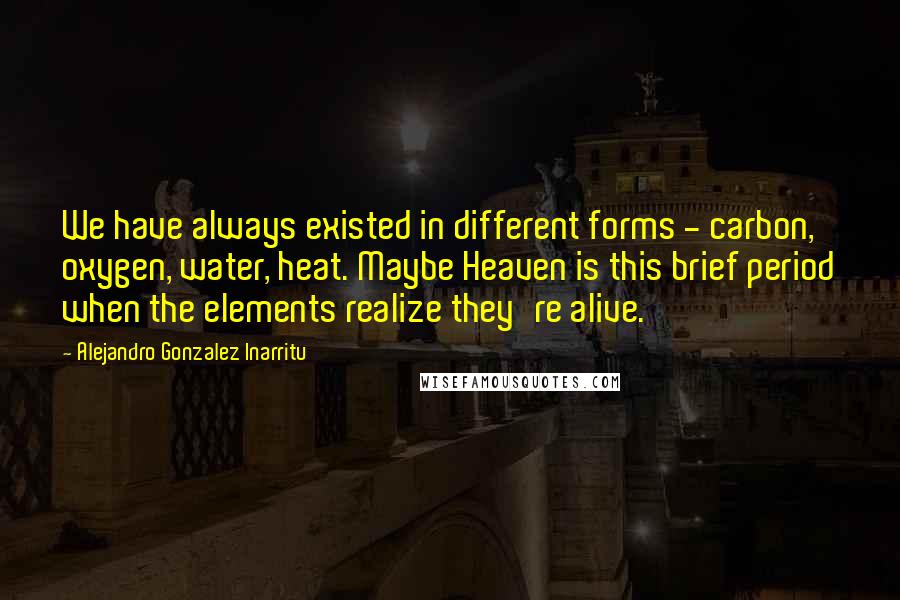 Alejandro Gonzalez Inarritu Quotes: We have always existed in different forms - carbon, oxygen, water, heat. Maybe Heaven is this brief period when the elements realize they're alive.