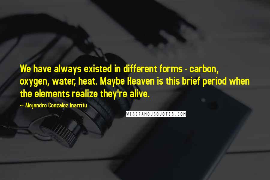 Alejandro Gonzalez Inarritu Quotes: We have always existed in different forms - carbon, oxygen, water, heat. Maybe Heaven is this brief period when the elements realize they're alive.