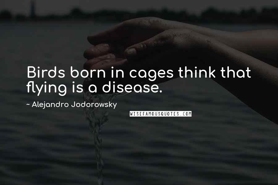 Alejandro Jodorowsky Quotes: Birds born in cages think that flying is a disease.