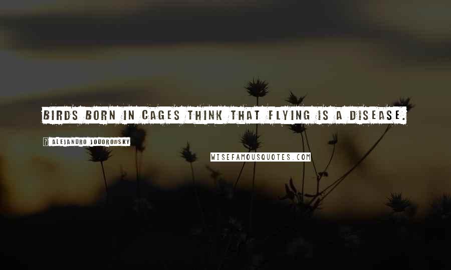 Alejandro Jodorowsky Quotes: Birds born in cages think that flying is a disease.